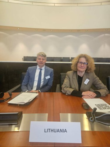 Regionų administracinio teismo pirmininkas CEPEJ pilotinių teismų tinklo susitikime diskutavo teismų procesų automatizavimo, tvarumo, šiuolaikinio teismų valdymo bei teisingumo kokybės vertinimo rodiklių klausimais